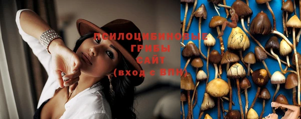 стафф Арсеньев