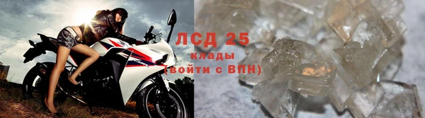 стафф Арсеньев