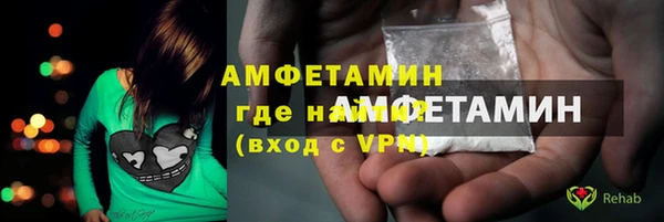сатива Аркадак