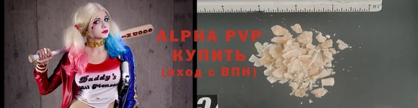 сатива Аркадак