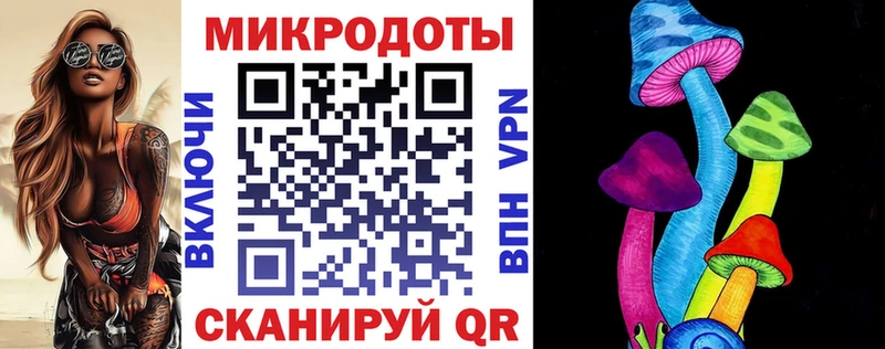 Псилоцибиновые грибы Cubensis Новодвинск