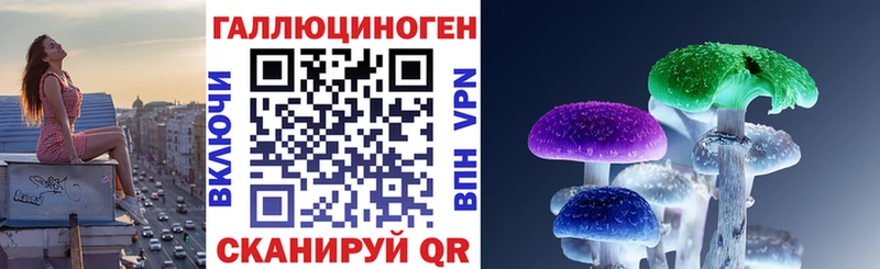 площадка клад  Новодвинск  Псилоцибиновые грибы мухоморы  где купить наркотик 
